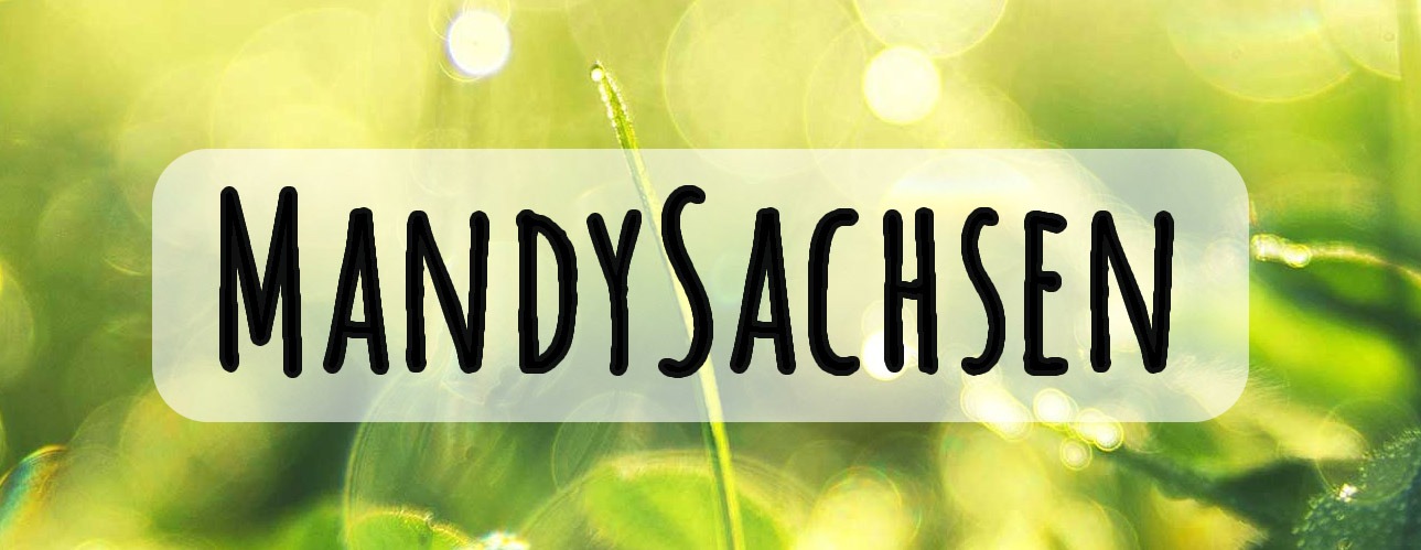 MandySachsen Logo