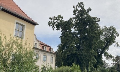 Kahnsdorf_4