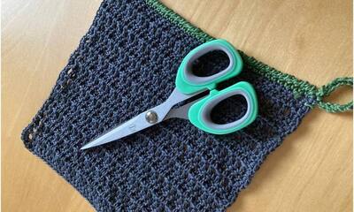 Dishclothes_5