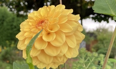 Septembergarten_4