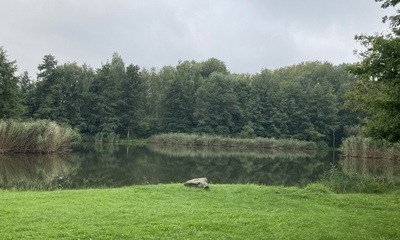 Bruchteiche_1