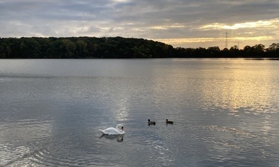 Stausee_Rötha_1