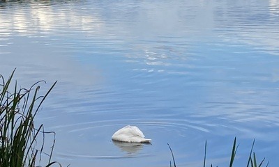 Stausee_Rötha_4