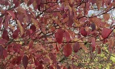 Rötha_November_12