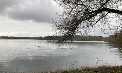 Rötha_November_4