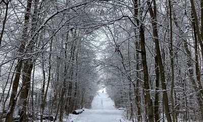 Weihnachten21_1 Weihnachten21_1