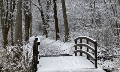 Weihnachten21_13 Weihnachten21_13