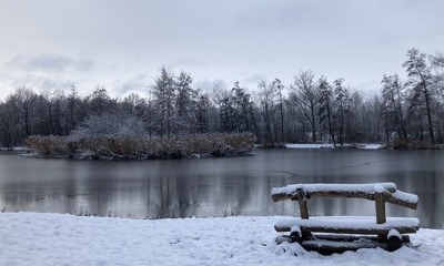 Weihnachten21_14 Weihnachten21_14