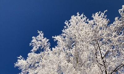 Weihnachten21_19