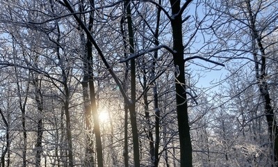 Weihnachten21_21
