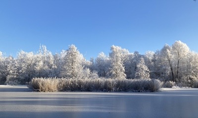 Weihnachten21_26