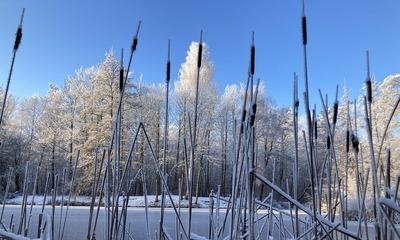 Weihnachten21_28