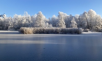 Weihnachten21_29 Weihnachten21_29