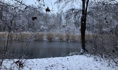Weihnachten21_3 Weihnachten21_3
