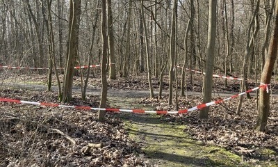 Frühlingserwachen_12