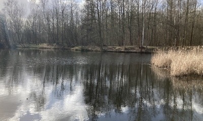 Frühlingserwachen_4