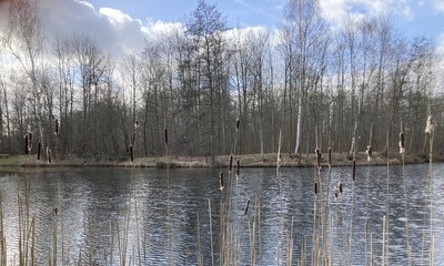 Frühlingserwachen_5