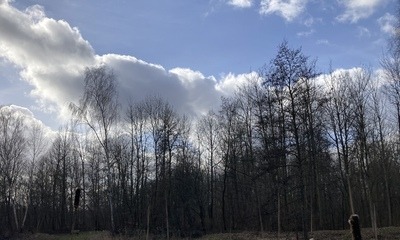 Frühlingserwachen_6