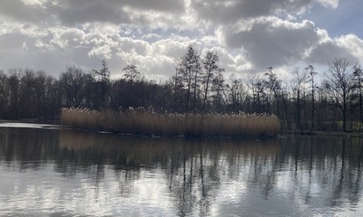 Frühlingserwachen_9