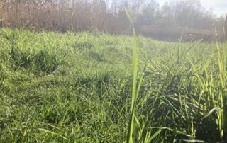 Ostersonntag22_02