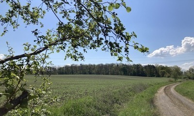 Erligt9_22