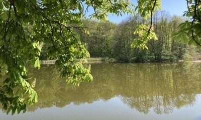 Prießnitz2_22