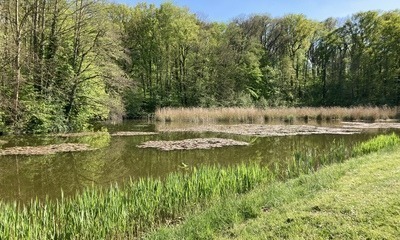 Prießnitz4_22
