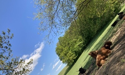 Prießnitz9_22