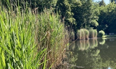Juni22_01 Bruchteiche22_01