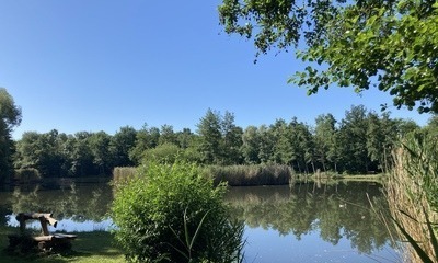 Juni22_02 Bruchteiche22_02