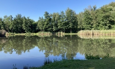 Juni22_04 Bruchteiche22_04