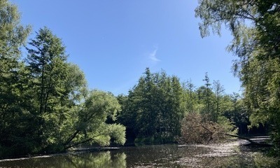 Juni22_05 Bruchteiche22_05