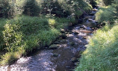 Carlsfeld_2 Carlsfeld_2