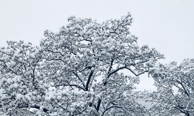 Dezember22_07 Winter