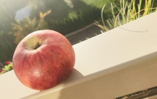 Apfel