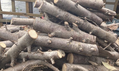 Gartenende_03 Feuerholz