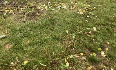 Gartenende_04