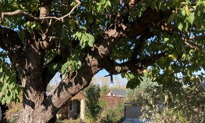 Gartenende_07