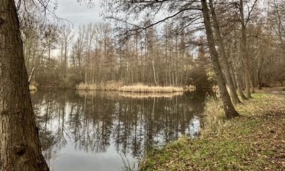 Neujahr23_01 Neujahr23