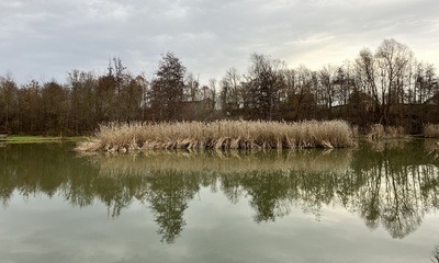 Neujahr23_08