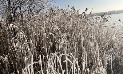 Baggersee_09