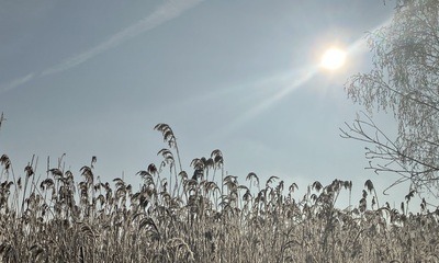 Baggersee_15