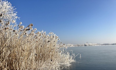 Baggersee_16 Baggersee