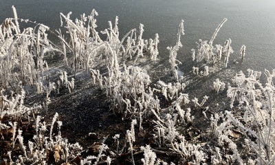 Baggersee_17