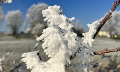 Baggersee_18 Baggersee