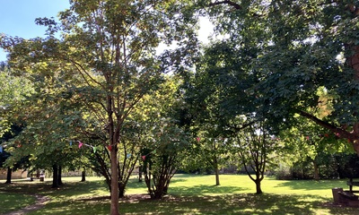 Schlosspark Schloss